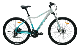 Велосипед Tech Team Delta 29"х19 серебряный